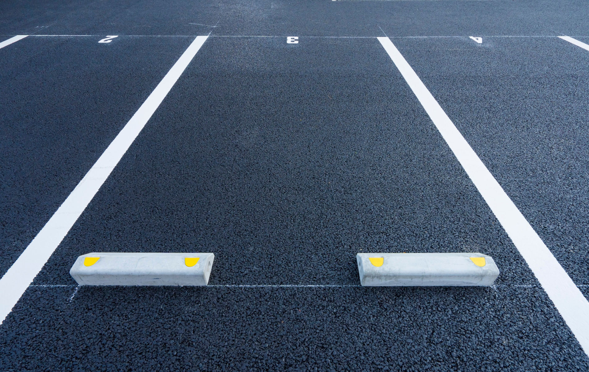 Parking space with white lines and concrete wheel stops on asphalt.
