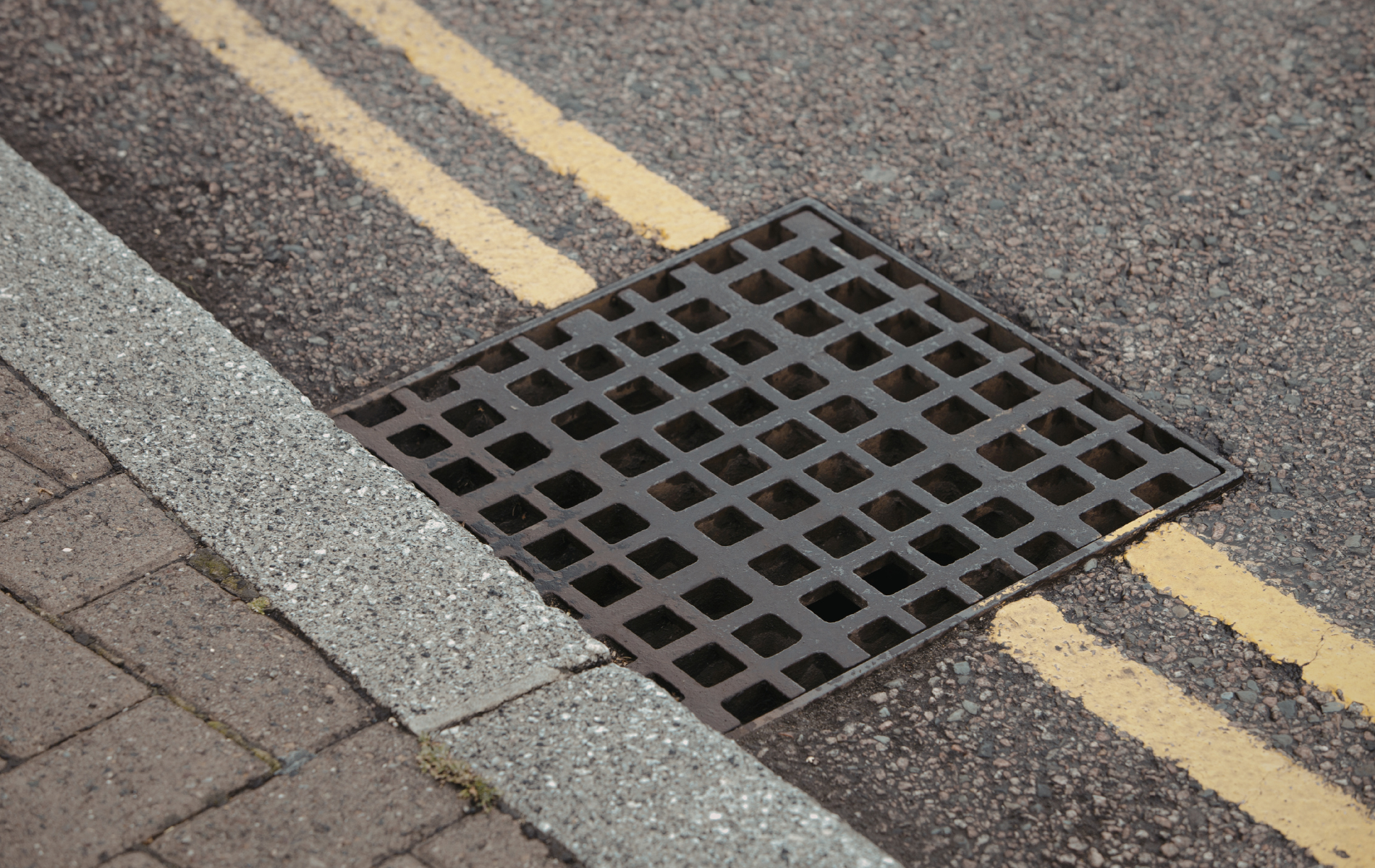 Square metal grate in asphalt road, next to a curb and double yellow lines.