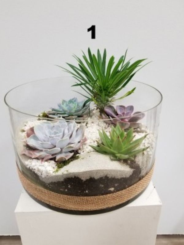 A glass bowl filled with succulents and plants with the number 1 on it