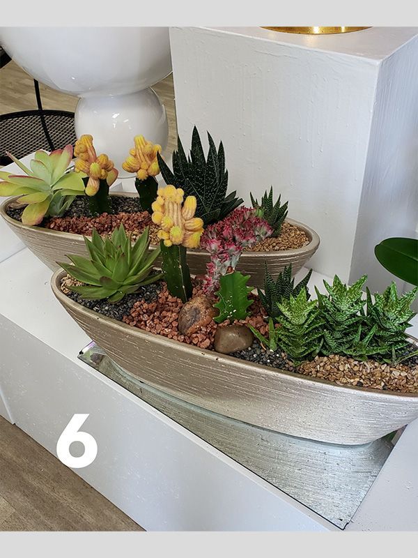 A group of potted plants are sitting on top of a table.