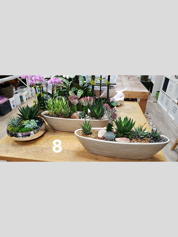A table topped with a variety of potted plants.