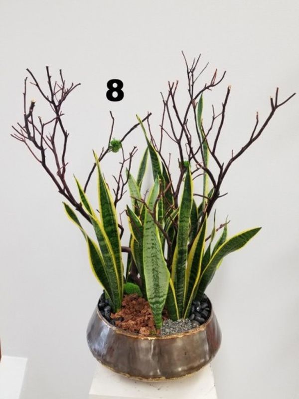 A potted plant with the number 8 on it