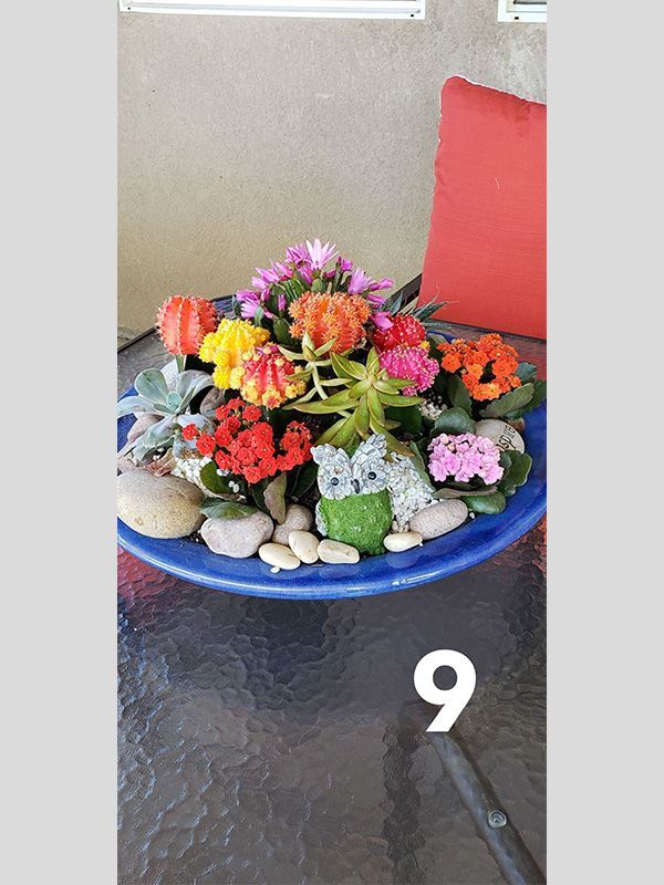 A blue plate filled with flowers and rocks on a table.