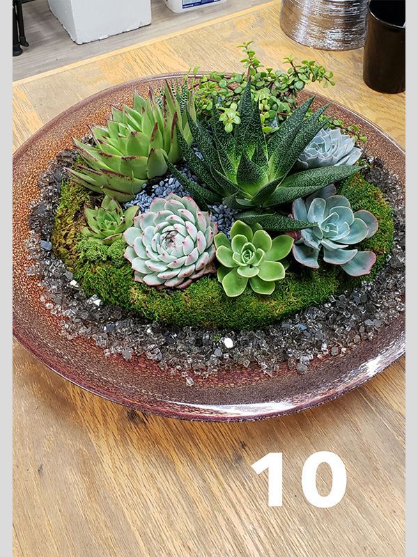 A bowl filled with succulents is sitting on a wooden table.