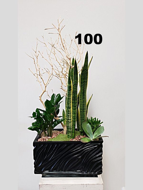 A black planter filled with lots of plants and a tree.