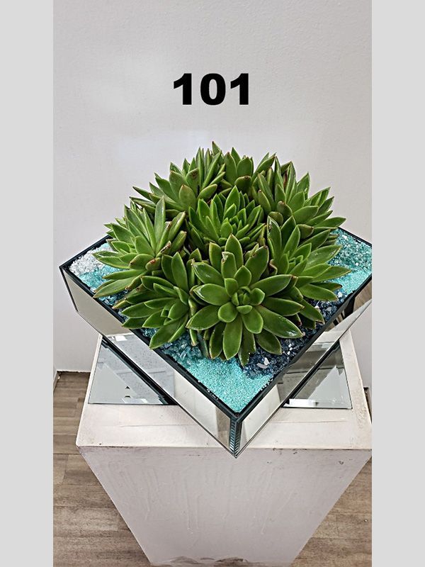 A potted plant is sitting on top of a white table.