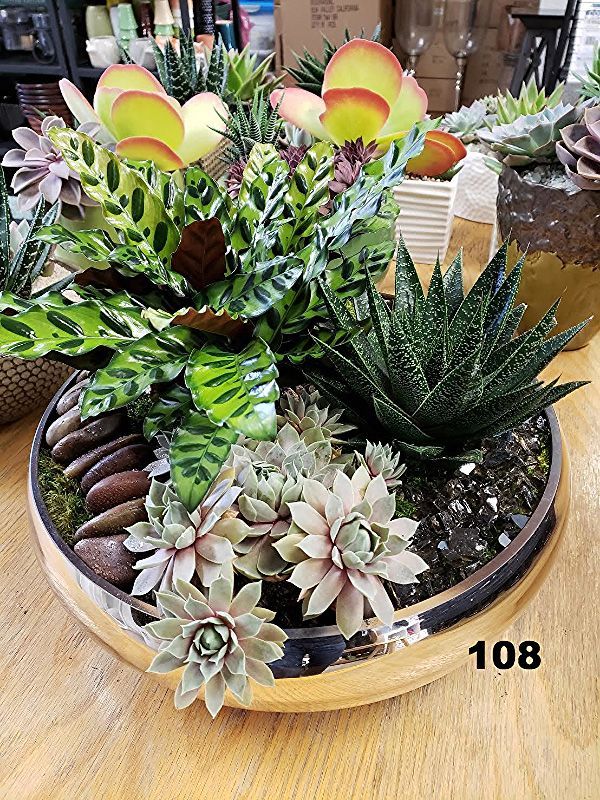 A wooden tray filled with lots of different types of succulents on a wooden table.