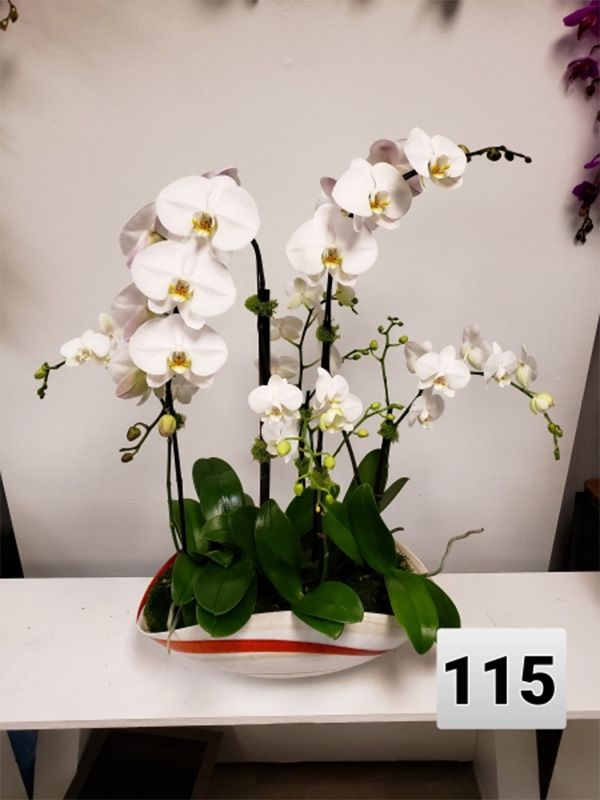 A vase of white orchids with the number 115 on it