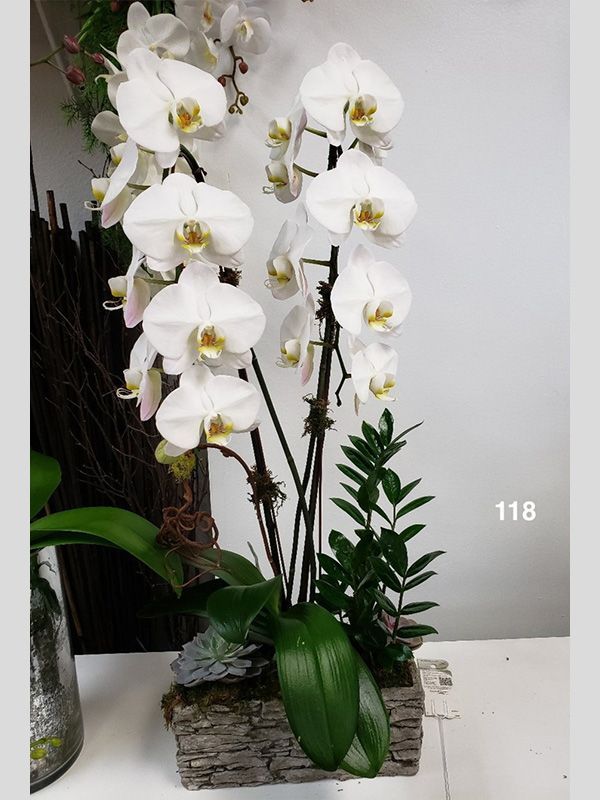 A potted plant with white flowers and the number 118 on the bottom