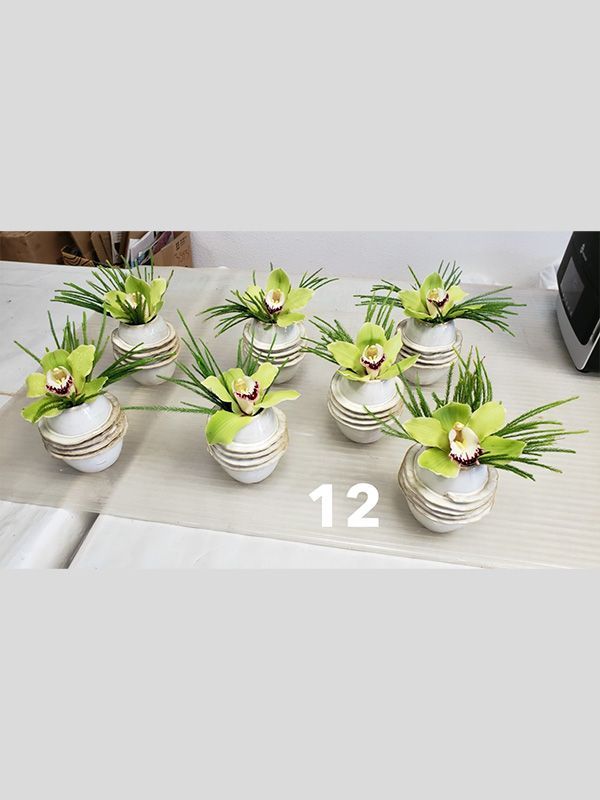 A group of vases filled with green flowers are sitting on a table.