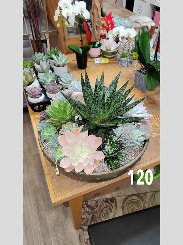 A wooden table topped with a tray of succulents and flowers.