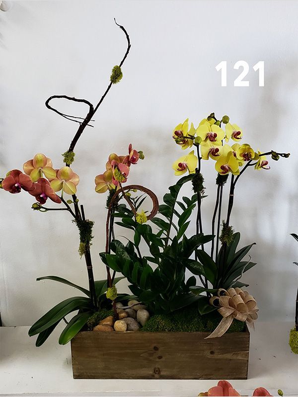 Flowers in a wooden box with the number 121 on the bottom
