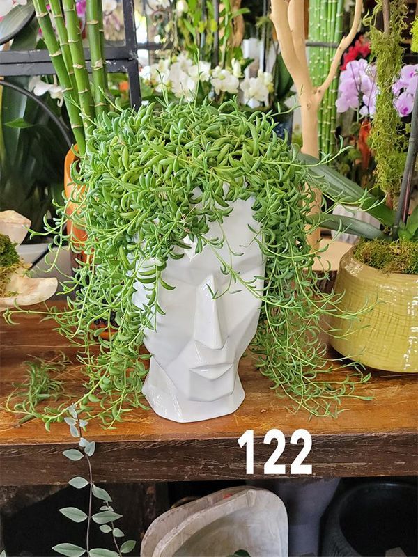 A white head shaped pot filled with green plants on a wooden table.