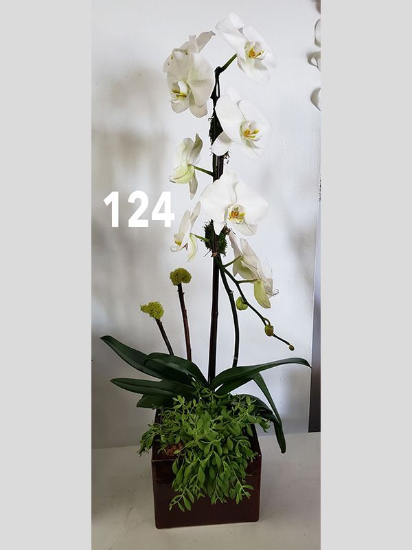 A potted plant with the number 124 on it