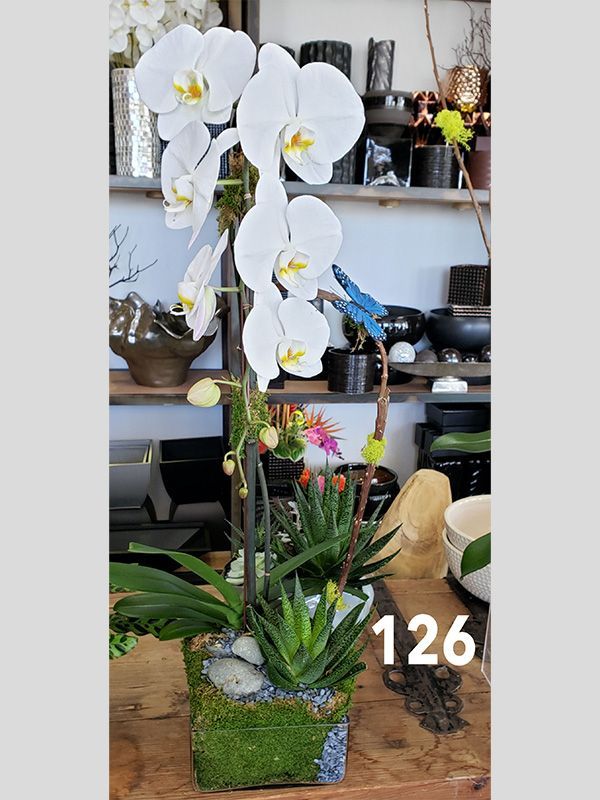 A white orchid is sitting on top of a wooden table.