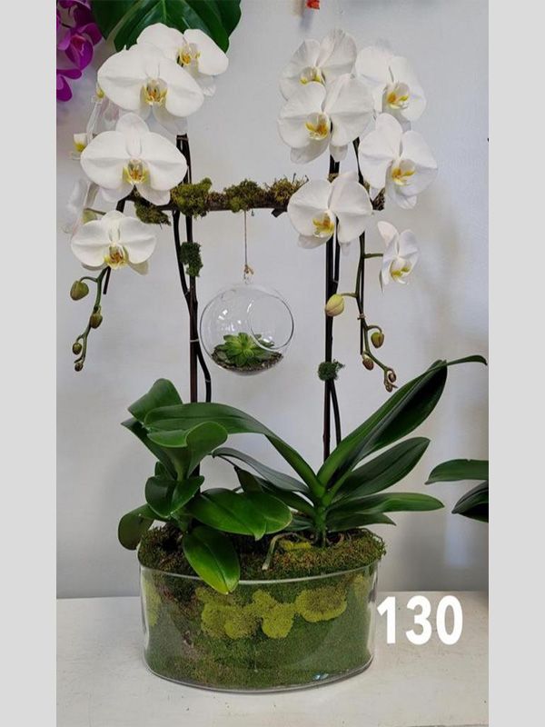 A potted plant with white flowers and the number 130 on the bottom
