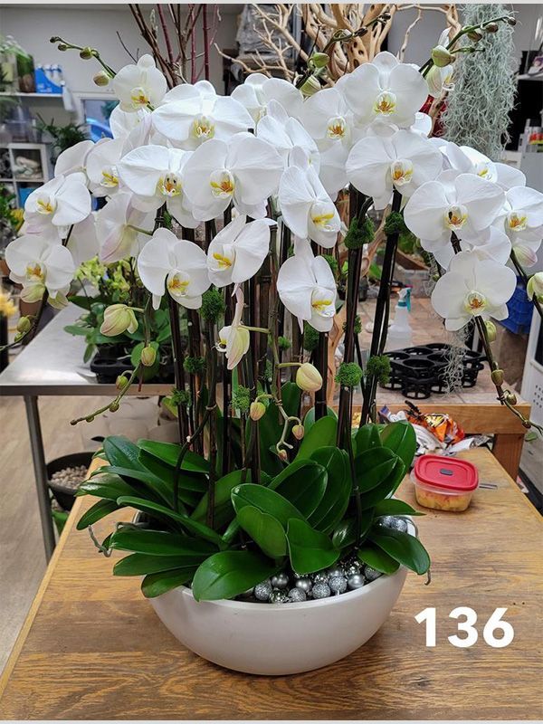 A vase filled with white orchids is sitting on a wooden table.