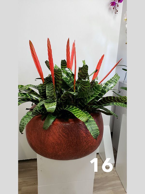 A potted plant with red flowers and the number 16 on the bottom