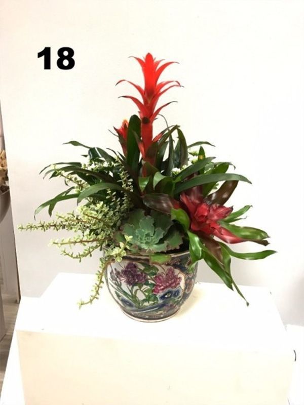 A potted plant with the number 18 on it