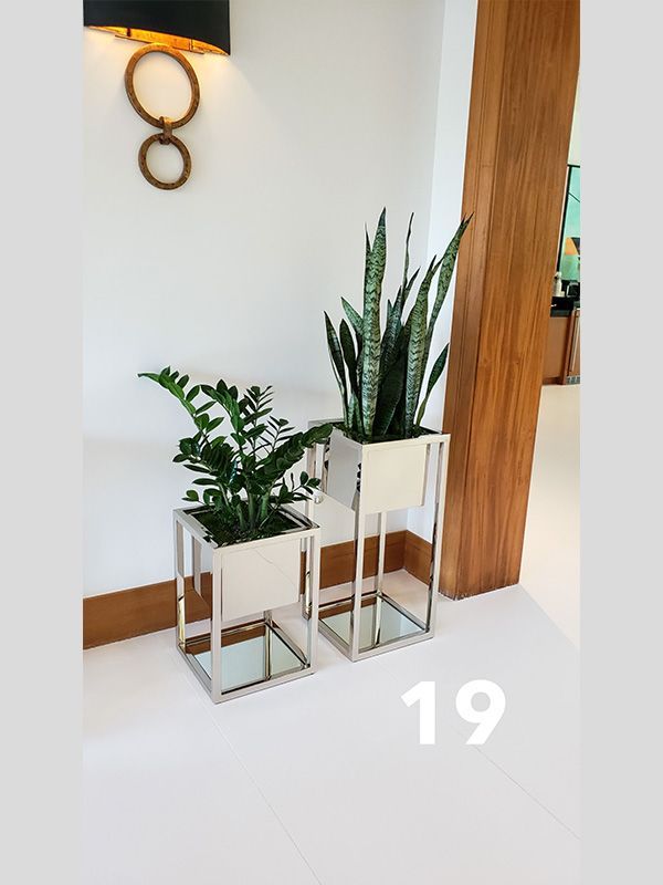Two potted plants are sitting on a white floor in a room.