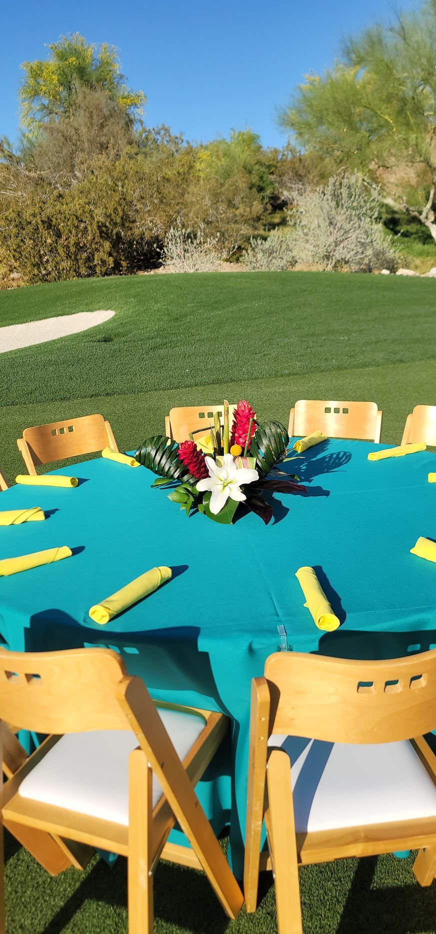 A round table with a blue tablecloth and wooden chairs in a field.