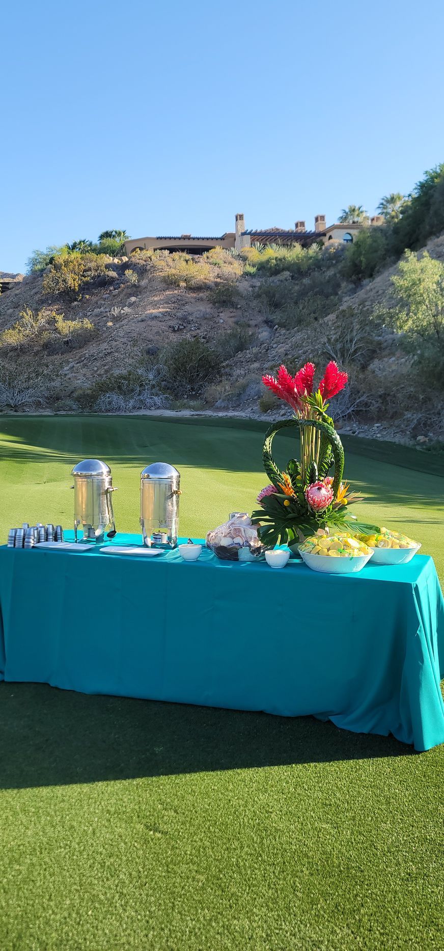A table with a blue tablecloth is sitting on top of a lush green field.