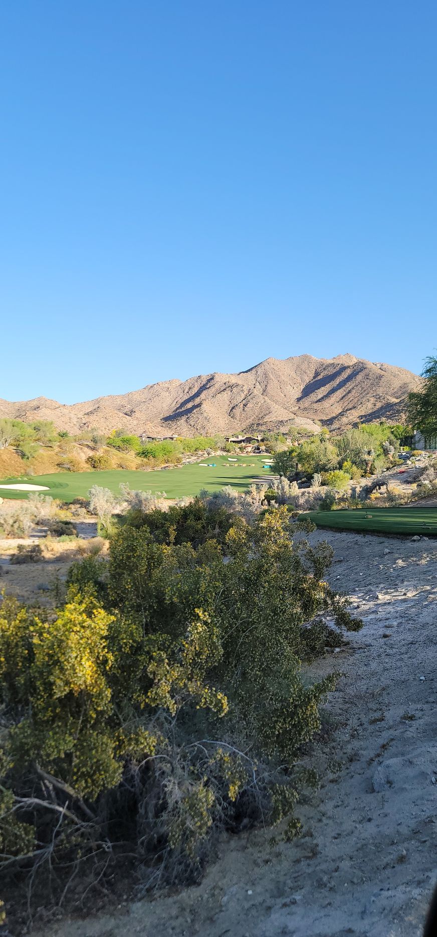 A view of a golf course in the desert with mountains in the background.