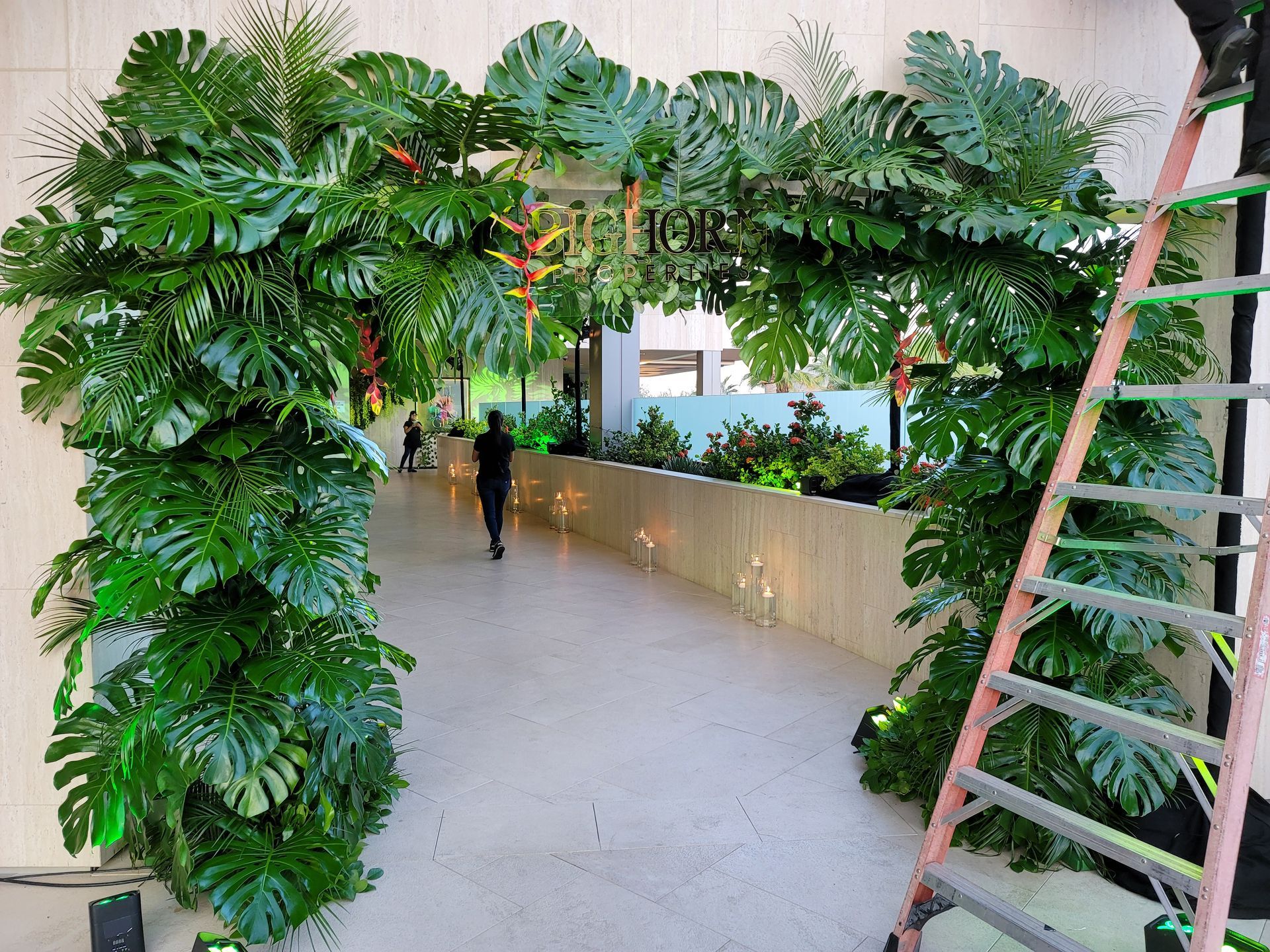 A person is walking through a hallway decorated with plants and a ladder.