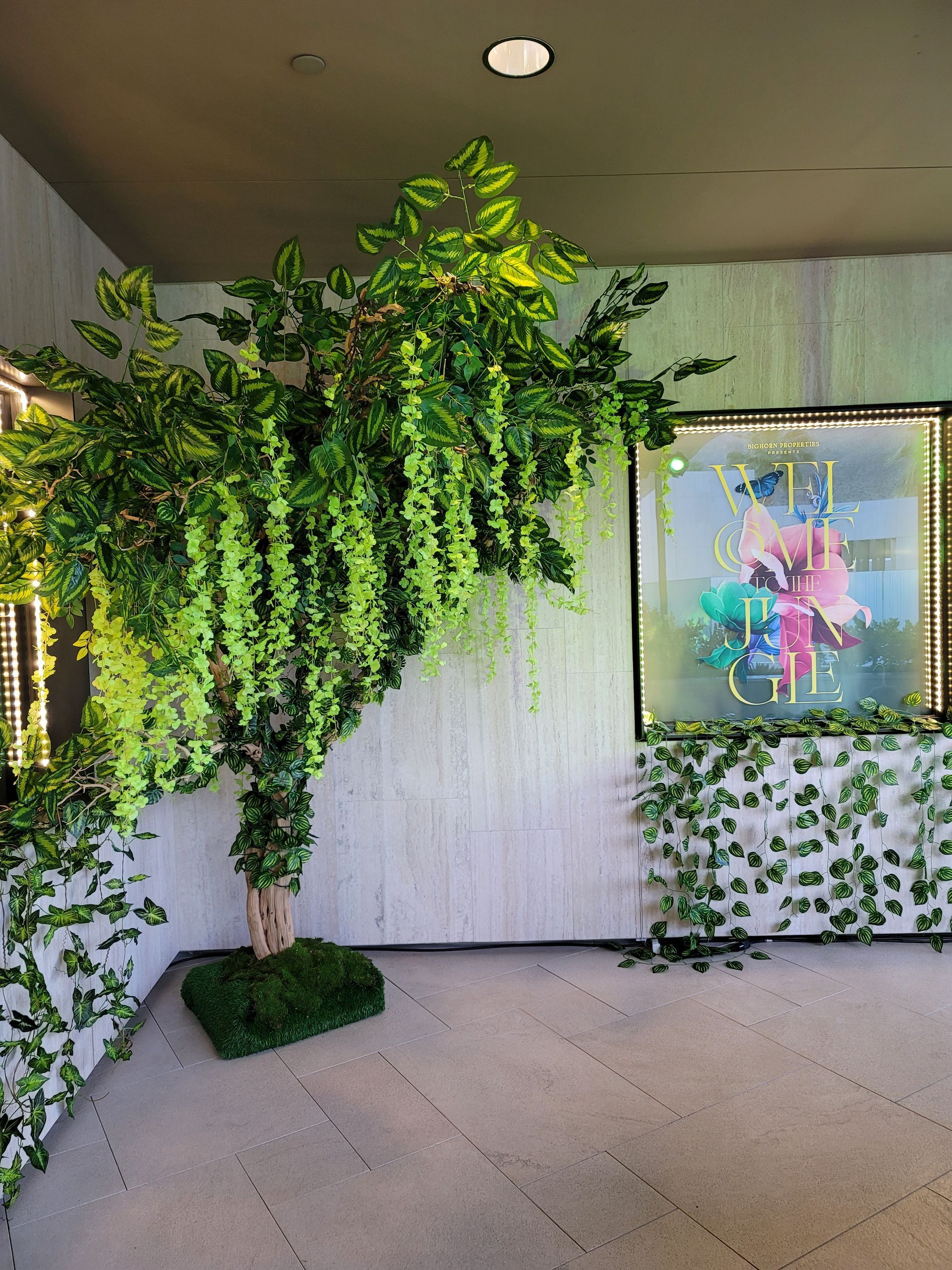 A tree with green leaves is hanging from the ceiling in a room.