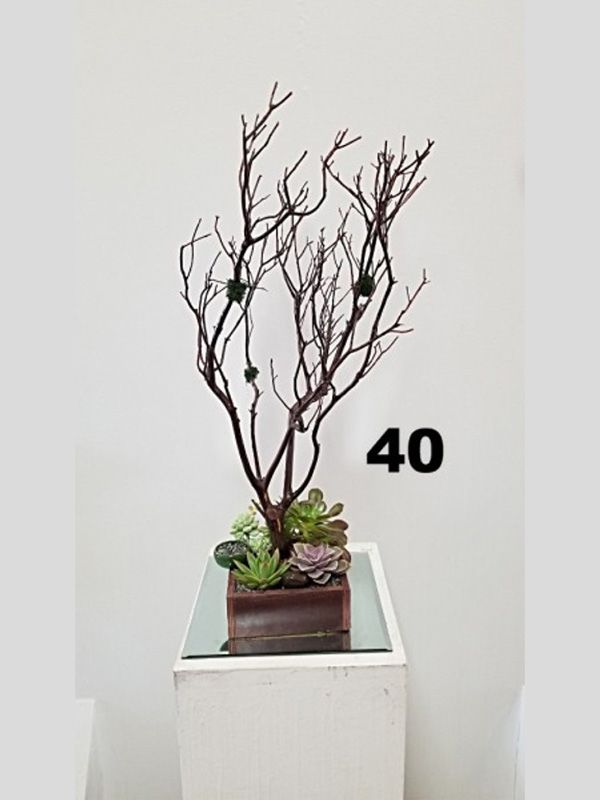 A tree in a pot with the number 40 on it