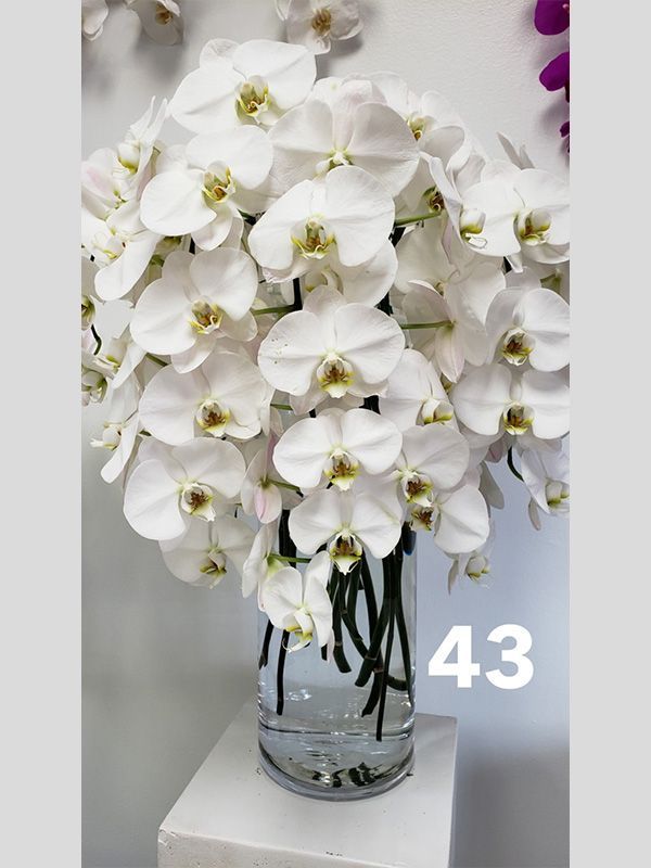 A vase filled with white orchids is sitting on a table.