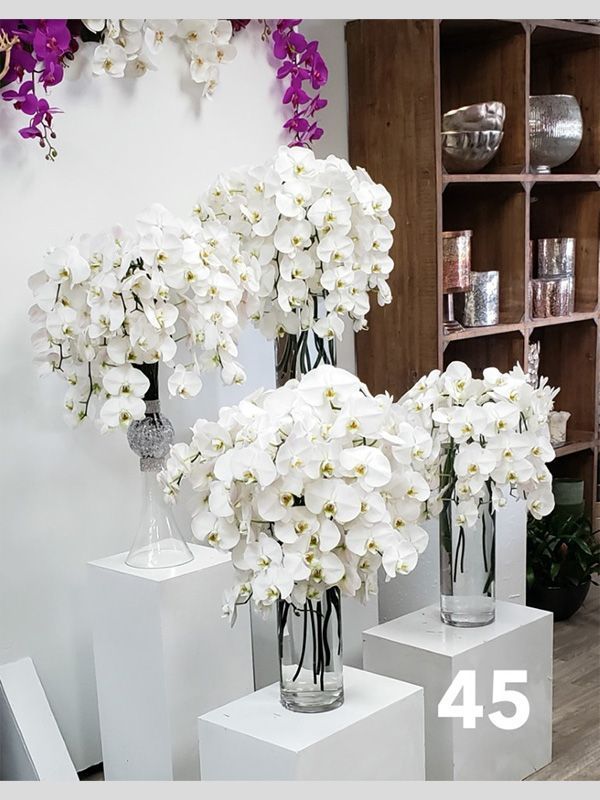 A bunch of vases filled with white flowers are sitting on white blocks.