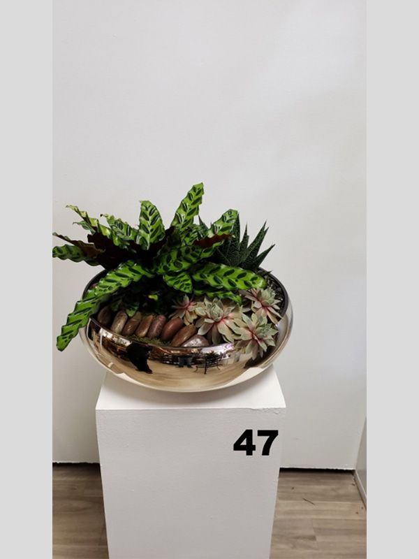 A potted plant is sitting on top of a white pedestal.