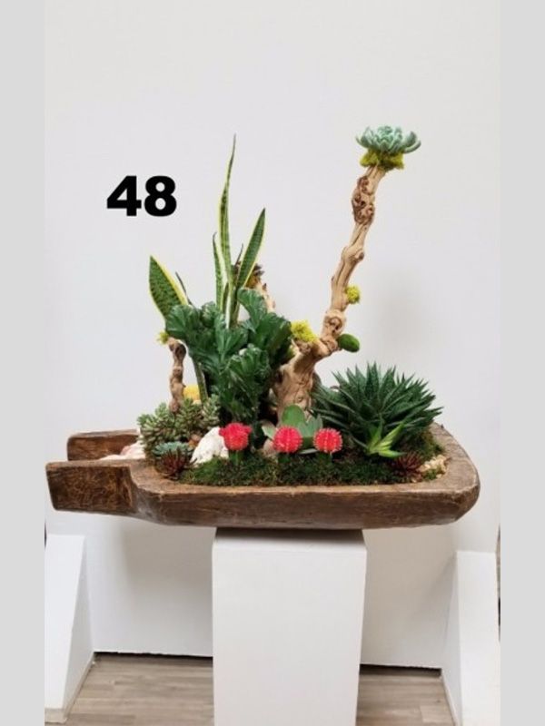 A wooden bowl filled with plants and flowers with the number 48 on it.