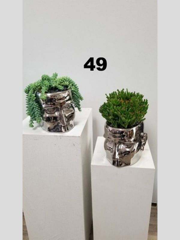 Two potted plants are sitting on a white pedestal under a sign that says 49