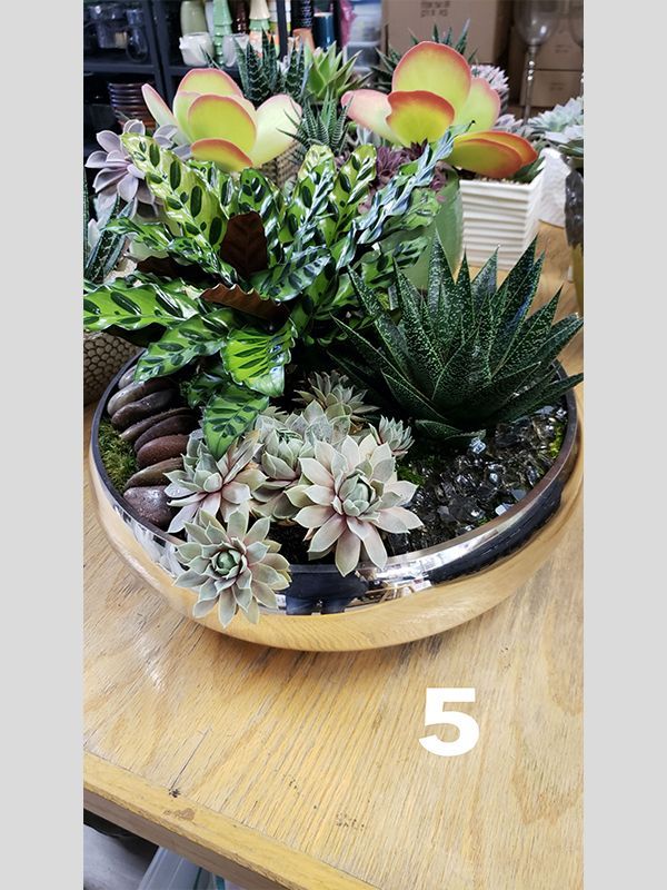 A bowl of succulents is sitting on a wooden table.