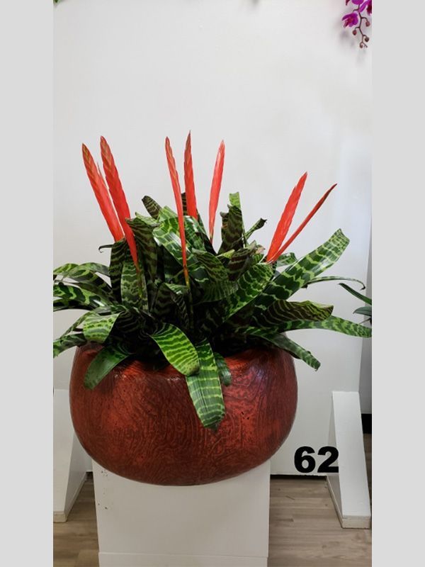 A potted plant with red flowers sits in front of a sign that says 62