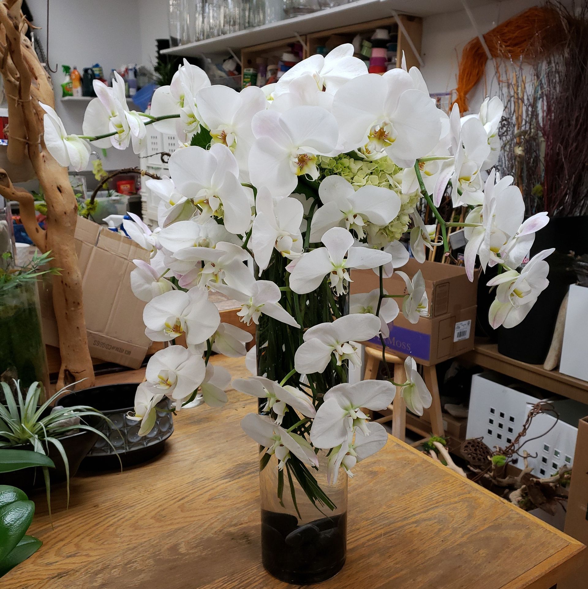 A vase filled with white flowers sits on a wooden table