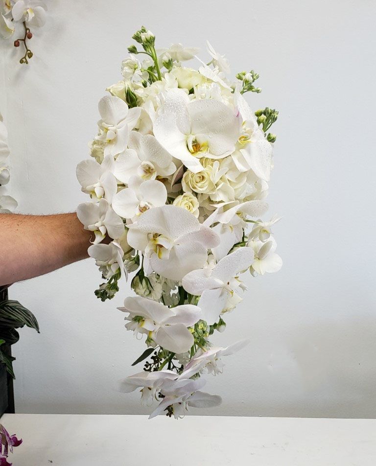 A person is holding a bouquet of white flowers in their hand.