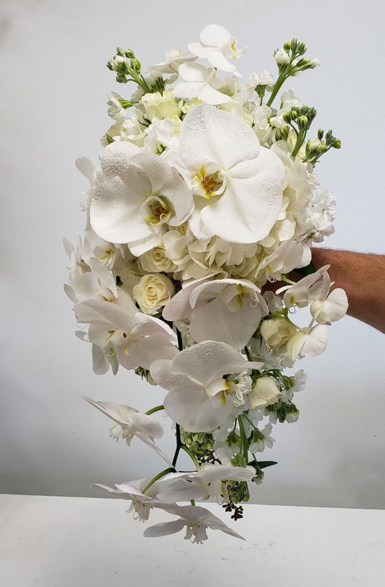 A person is holding a bouquet of white flowers.