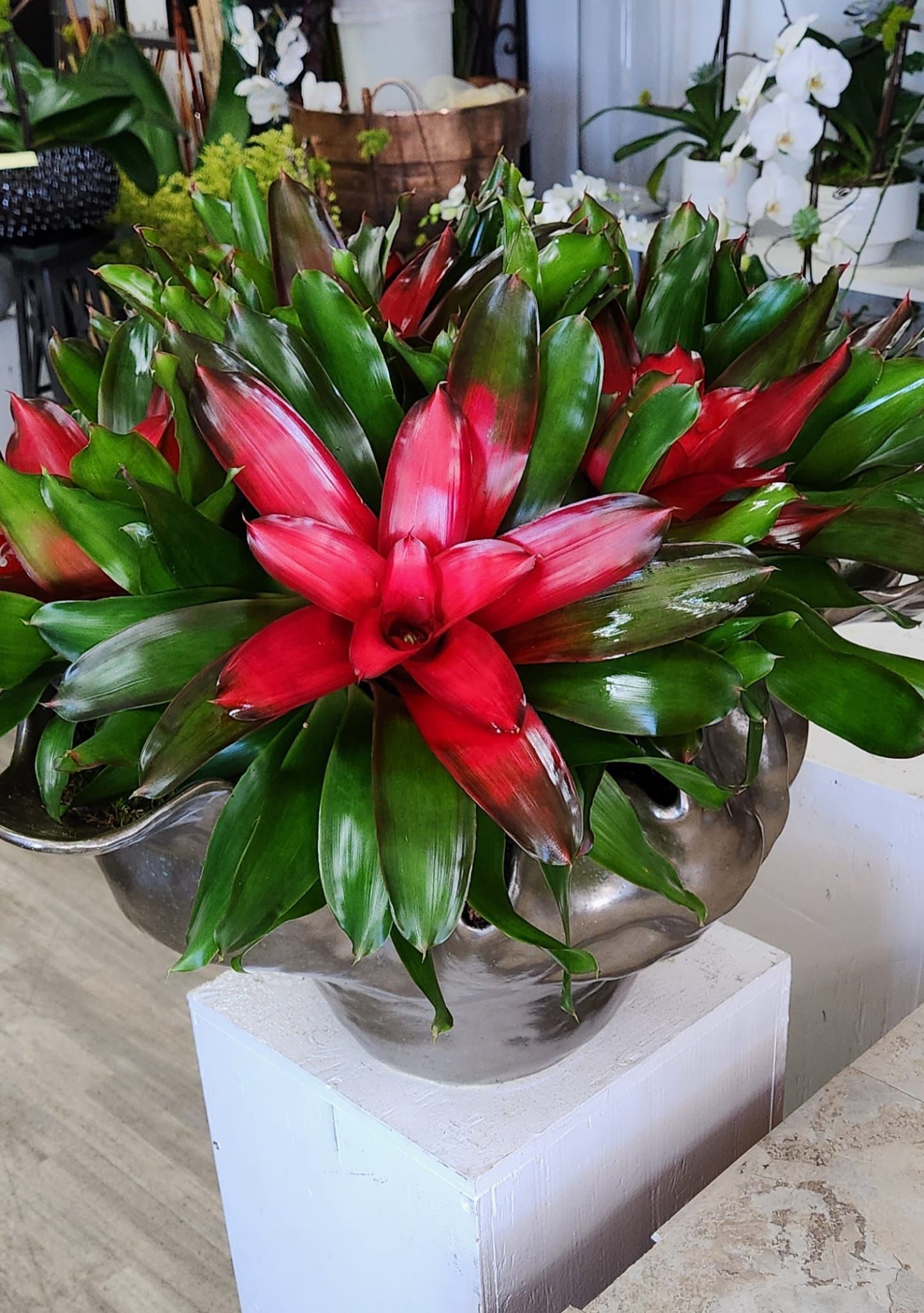A vase filled with red flowers and green leaves on a table.