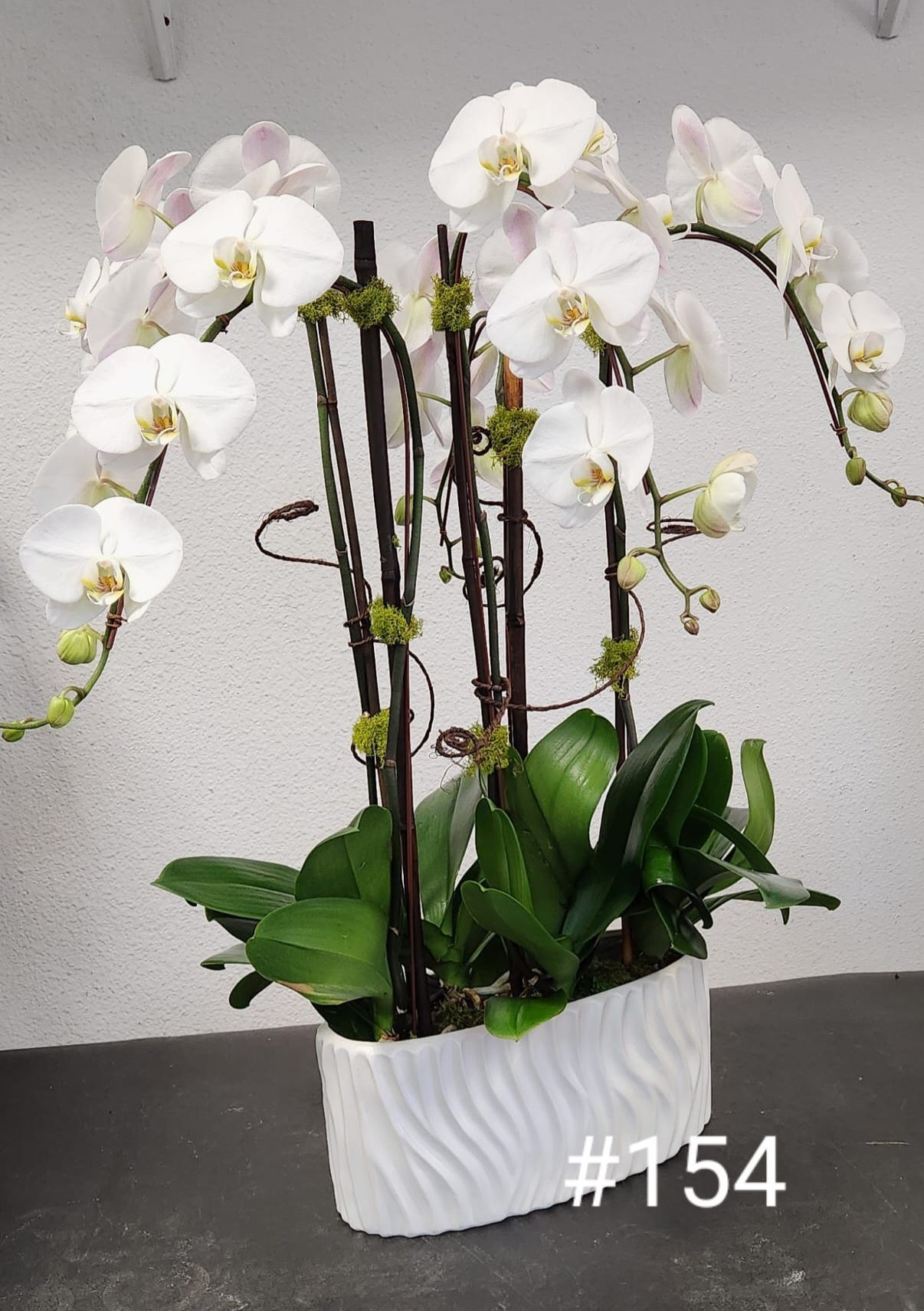 A white vase filled with white orchids and green leaves
