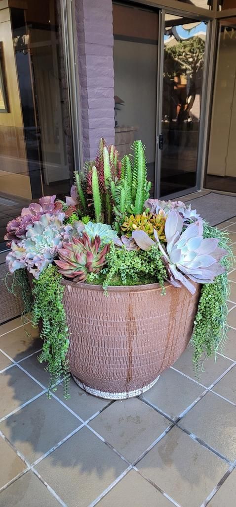 A large pot filled with succulents and cactus is sitting on a sidewalk in front of a building.
