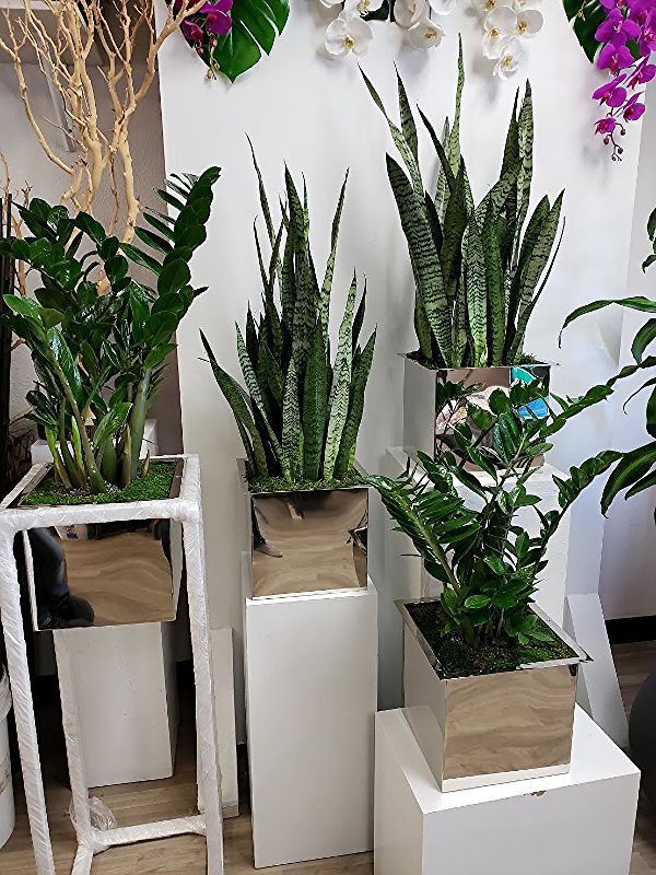 A group of potted plants sitting on top of white blocks.
