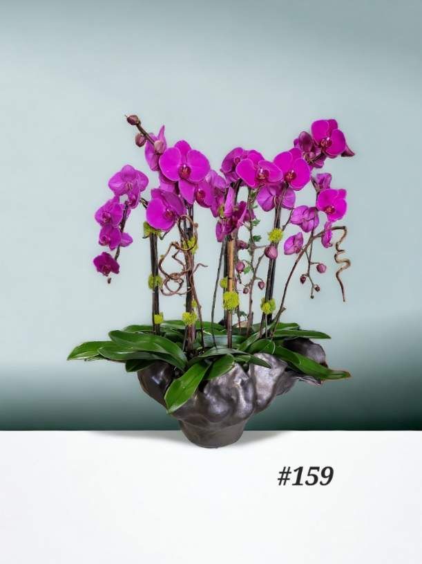 Purple orchids in a vase with the number 159 on the bottom