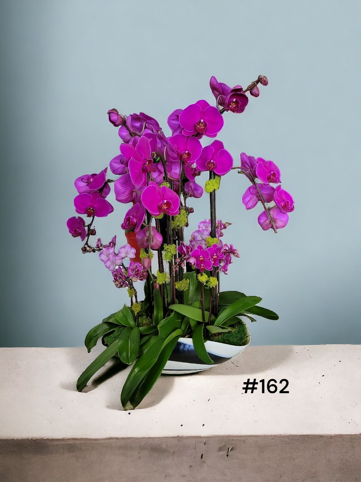 Purple flowers in a vase with the number 162 on the bottom