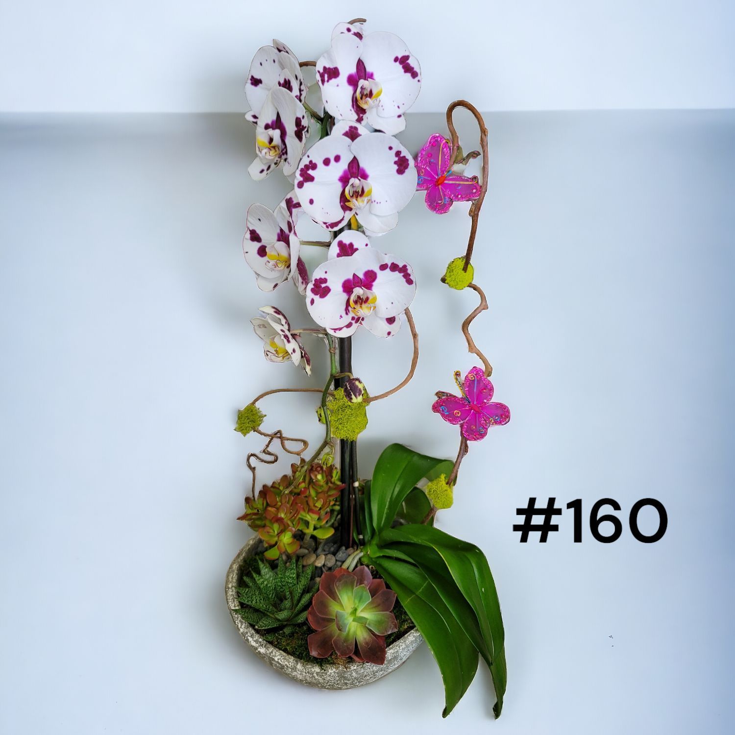 A potted plant with orchids and succulents has the number 160 on the bottom