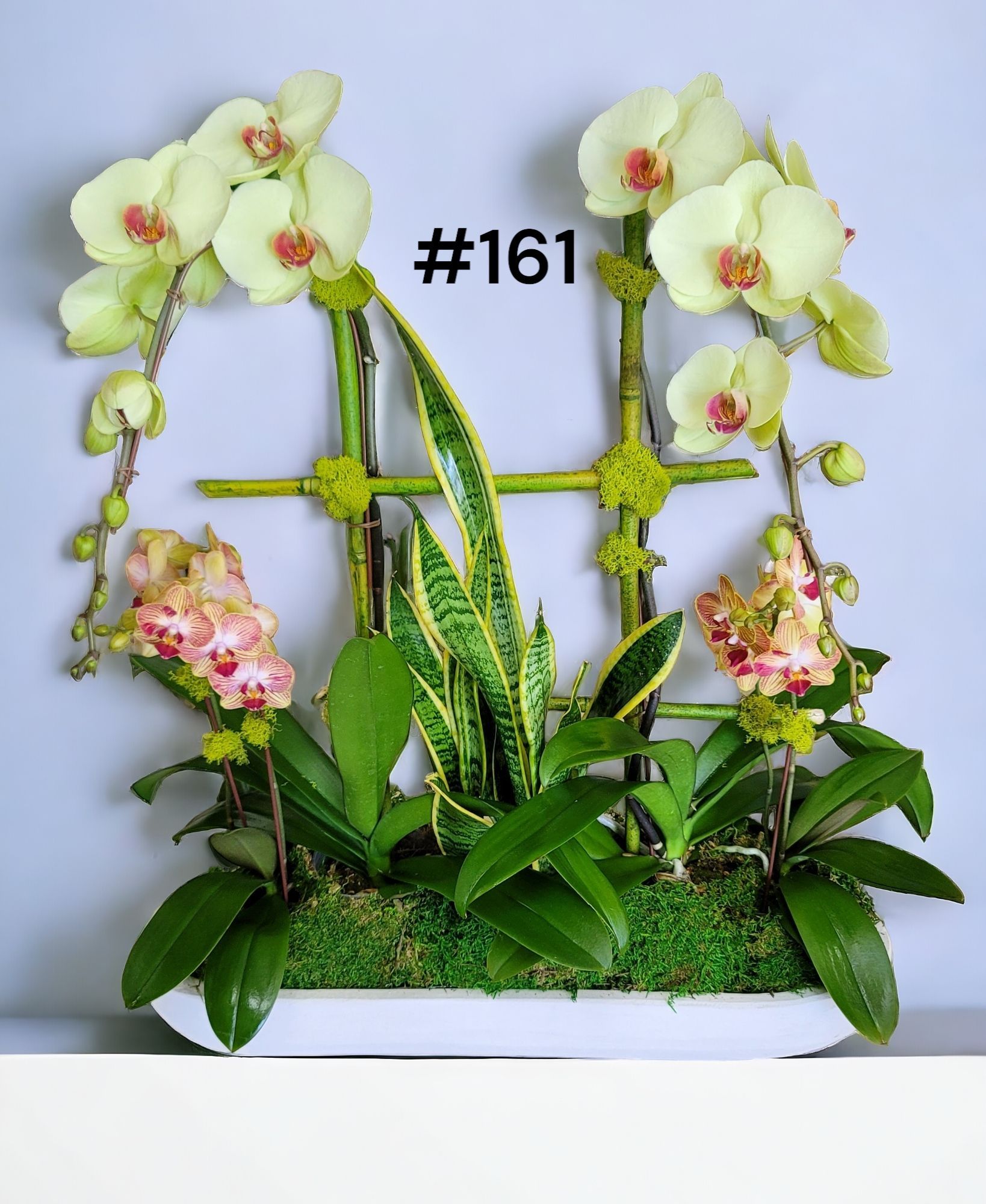 A picture of flowers with the number 161 on it