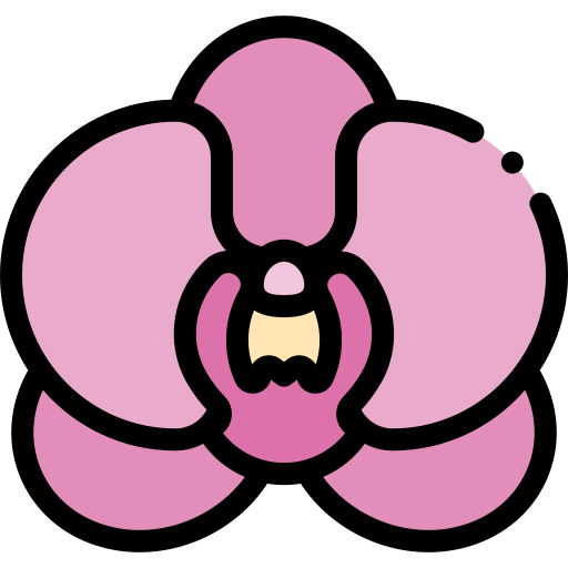 pink orchid icon