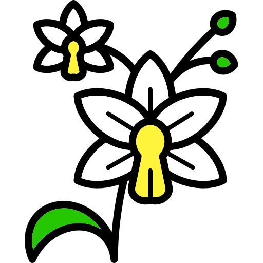 orchid outline icon